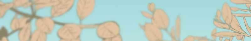 Chapter 1 - halaman 51