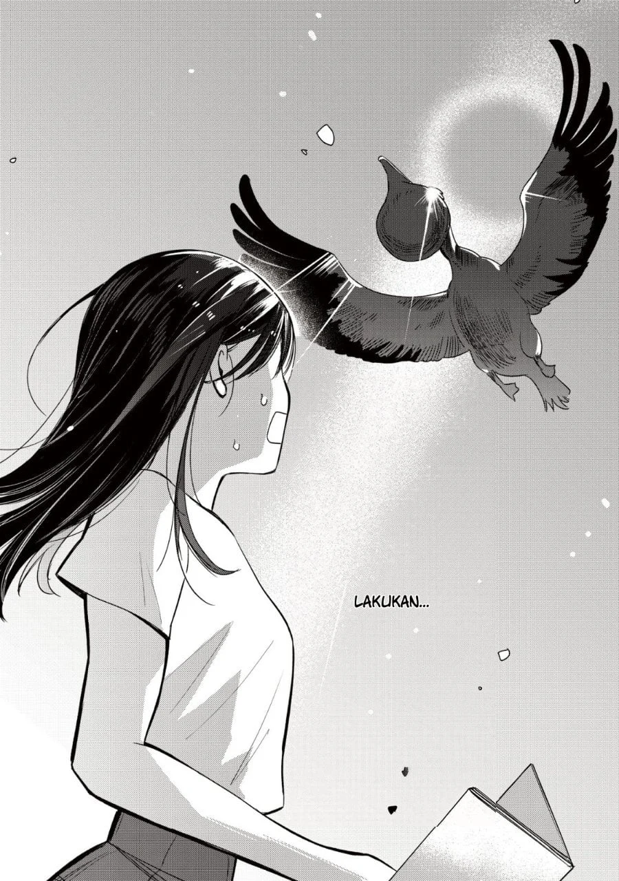 Chapter 2 - halaman 15