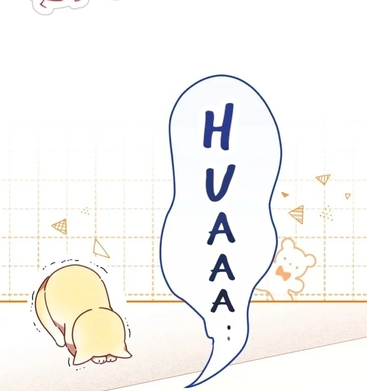 Chapter 3 - halaman 13