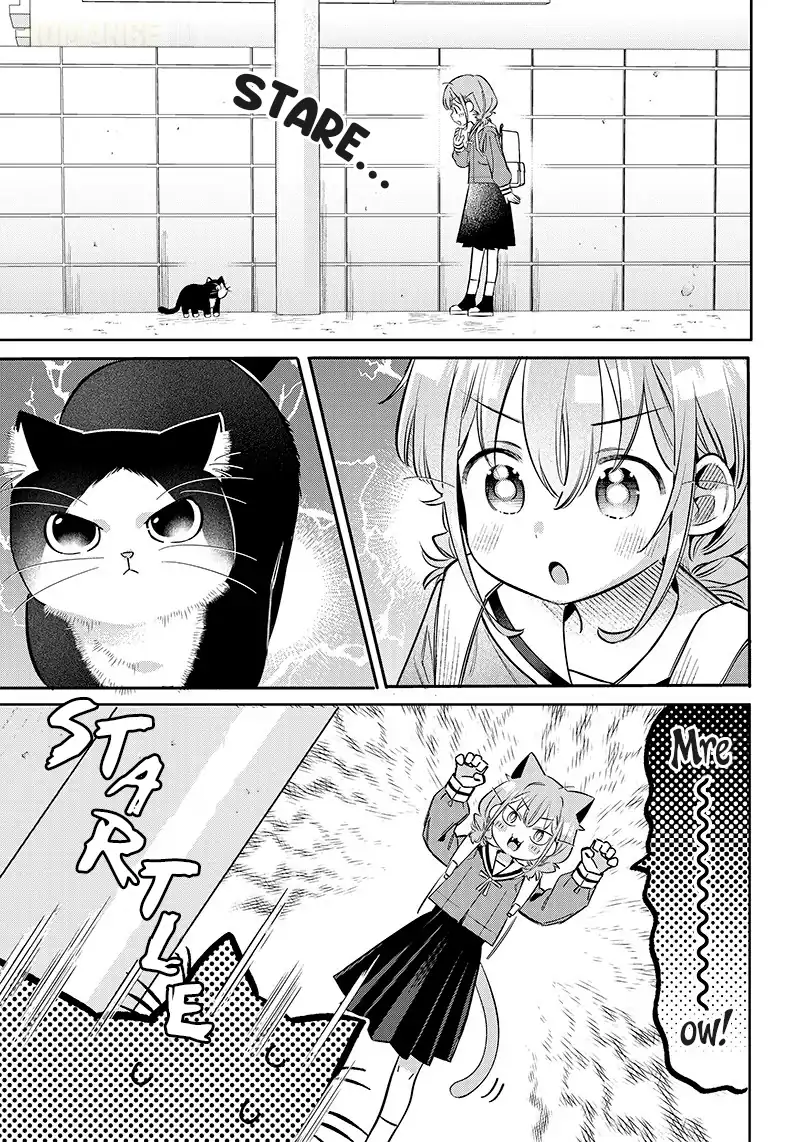 Chapter 9.5 - halaman 4