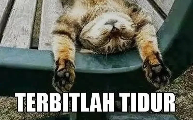 Chapter 79 - halaman 93