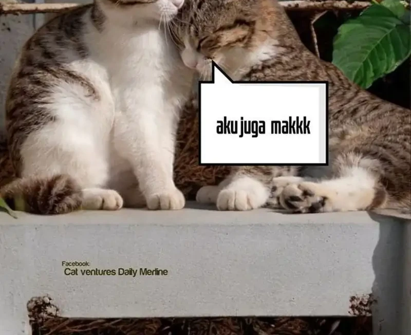 Chapter 81 - halaman 103