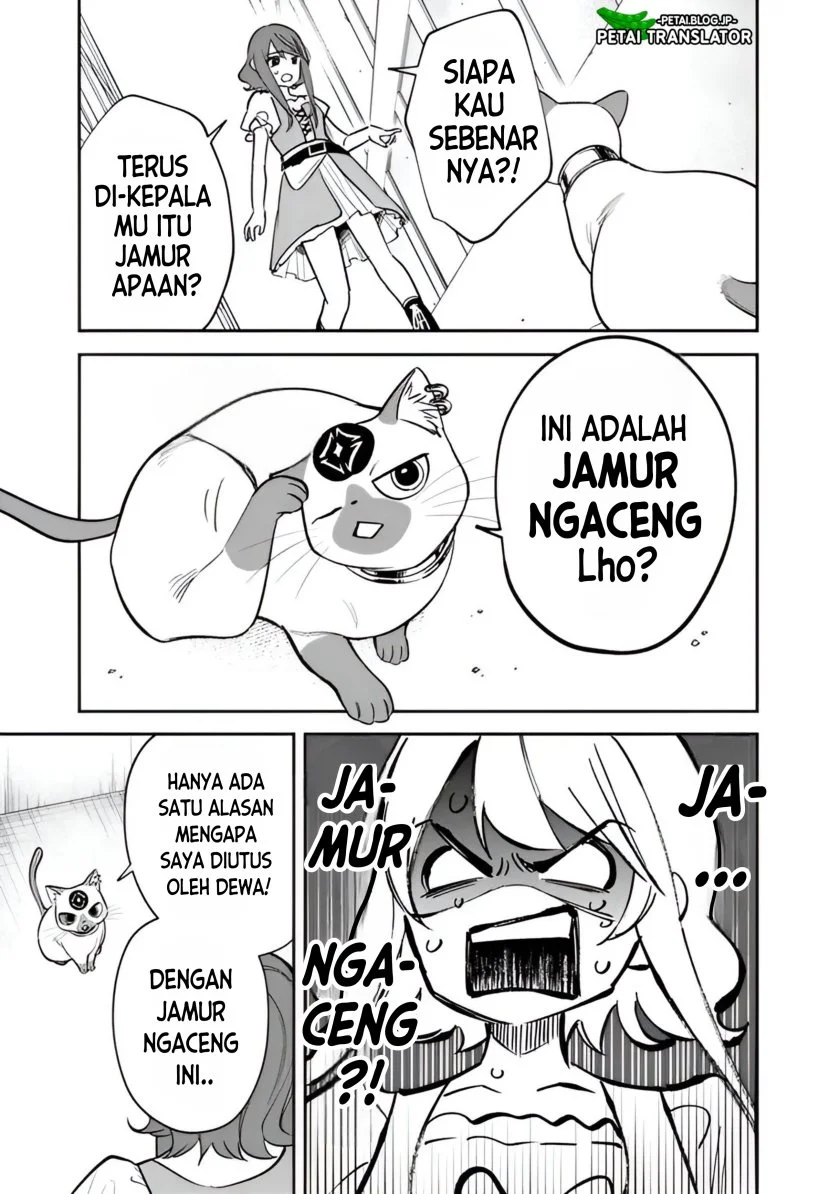 Chapter 2 - halaman 26
