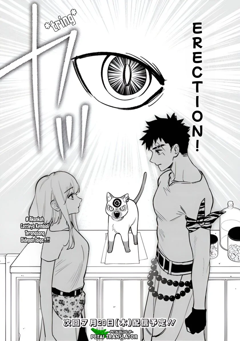 Chapter 3 - halaman 29