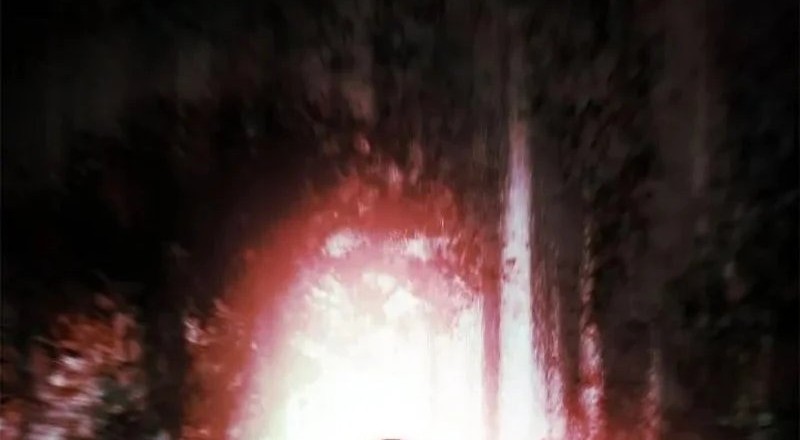 Chapter 210 - halaman 66