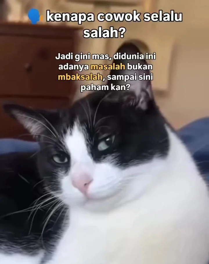 Chapter 287 - halaman 51