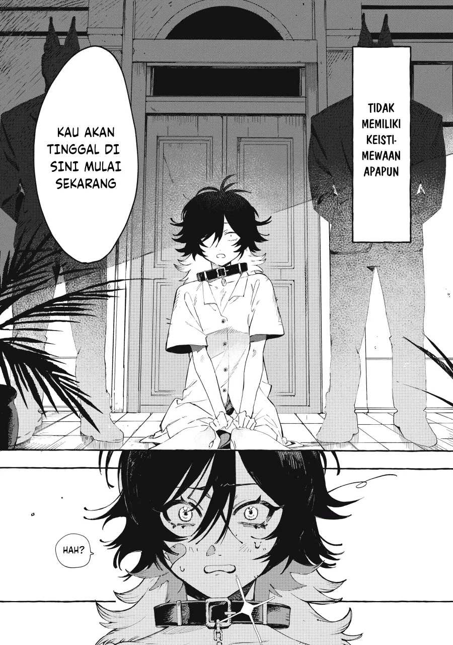 Chapter 1 - halaman 3