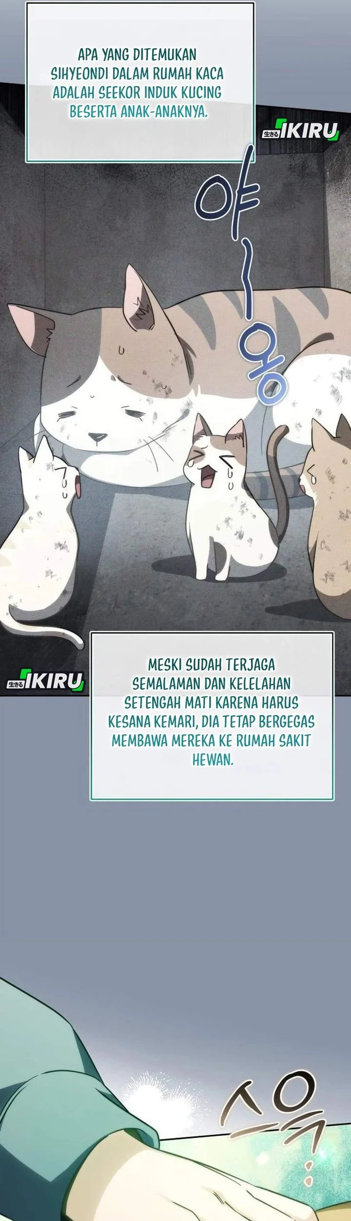 Chapter 15 - halaman 6