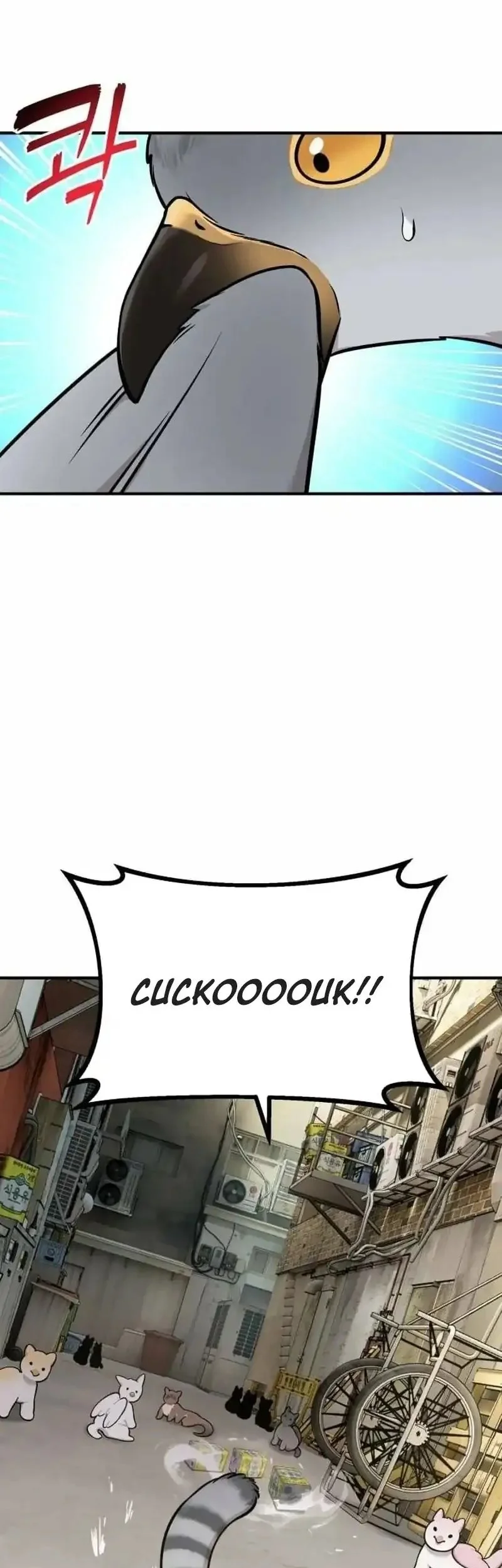 Chapter 39 - halaman 48