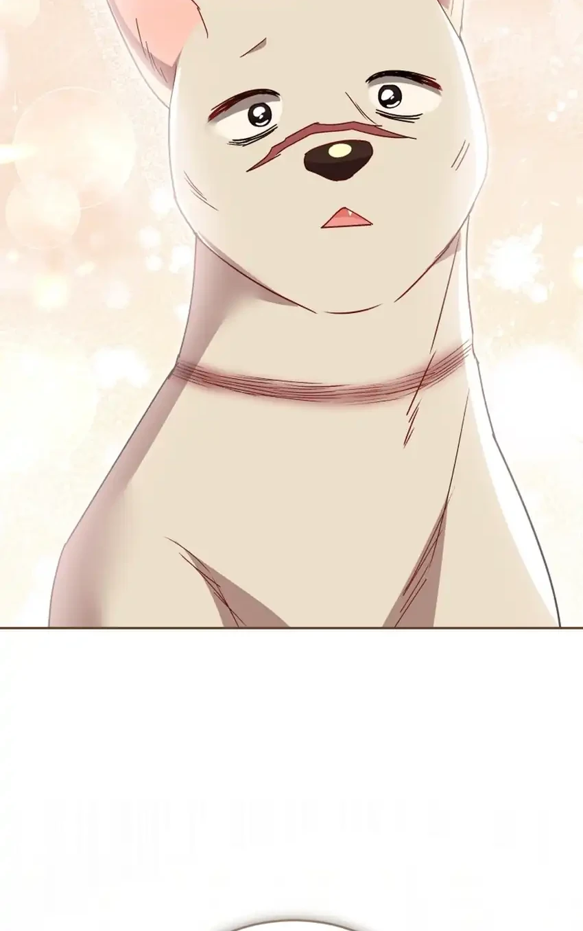 Chapter 116 - halaman 39