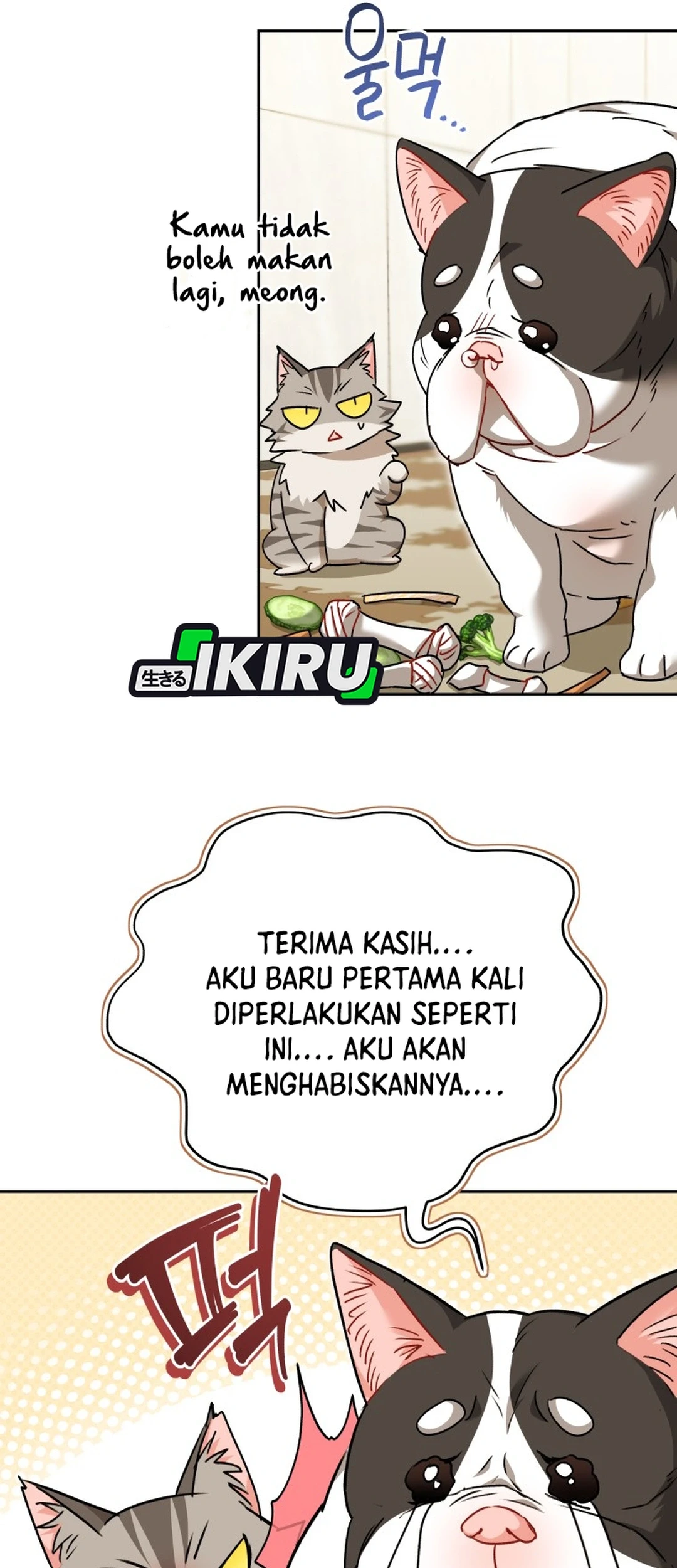 Chapter 141 - halaman 51