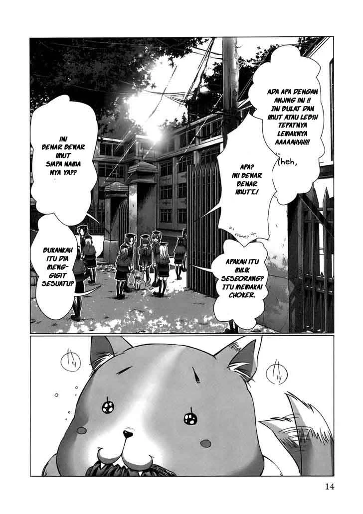 Chapter 1 - halaman 13