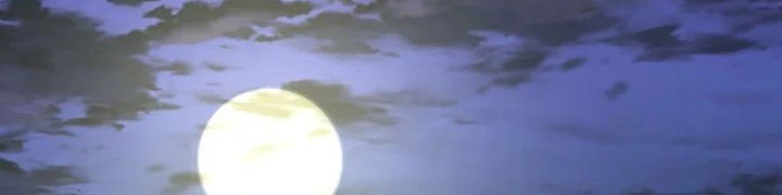 Chapter 147 - halaman 43