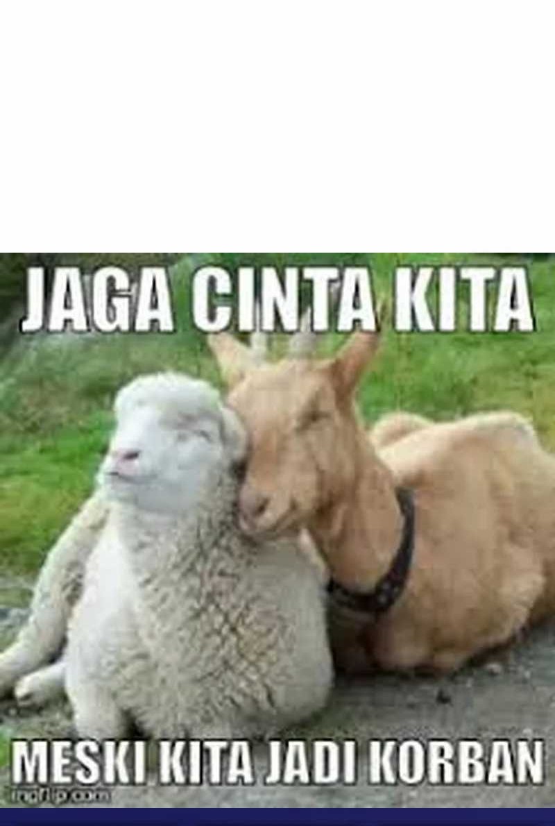 Chapter 15 - halaman 97