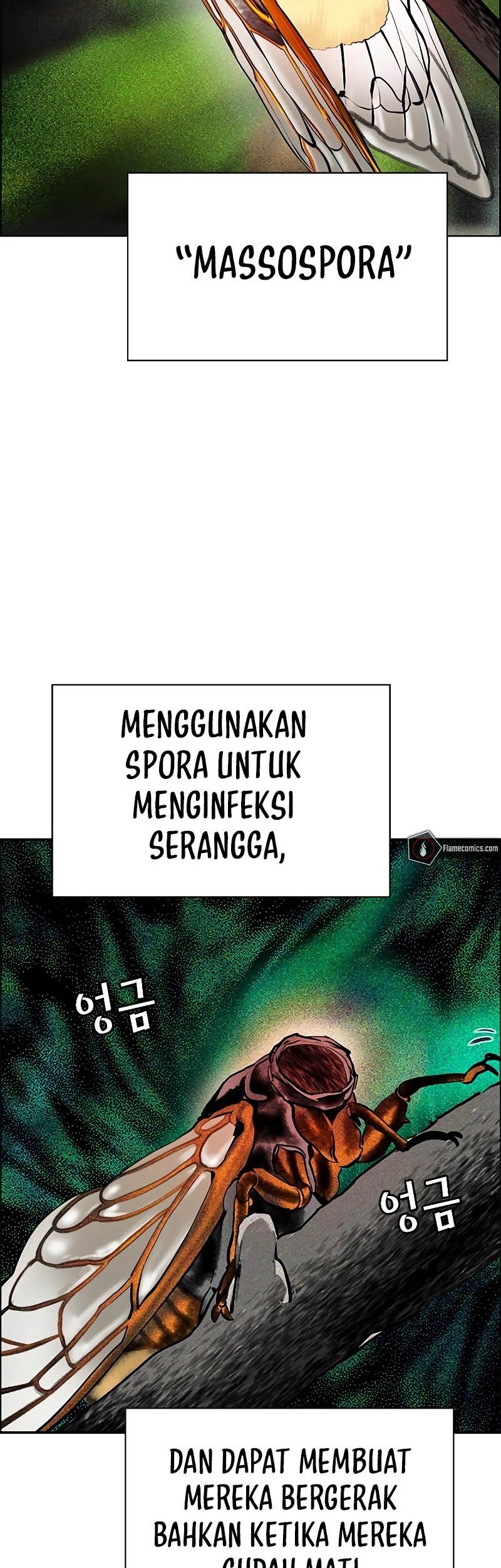 Chapter 169 - halaman 45