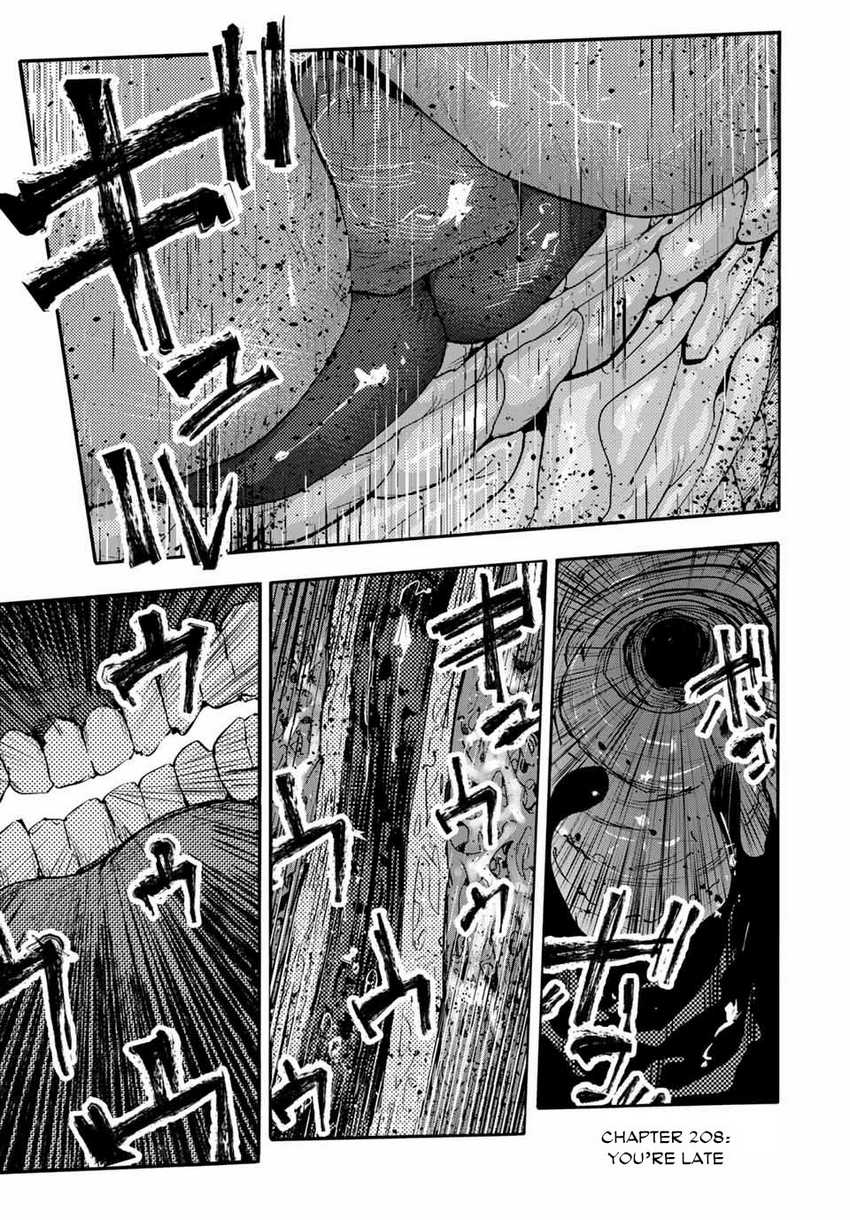 Chapter 208 - halaman 3