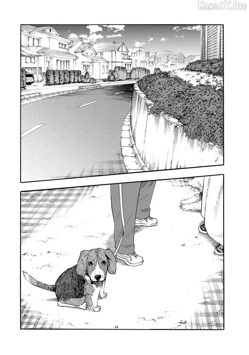 Chapter 232 - halaman 13