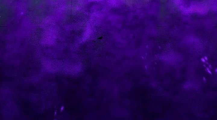 Chapter 9 - halaman 29