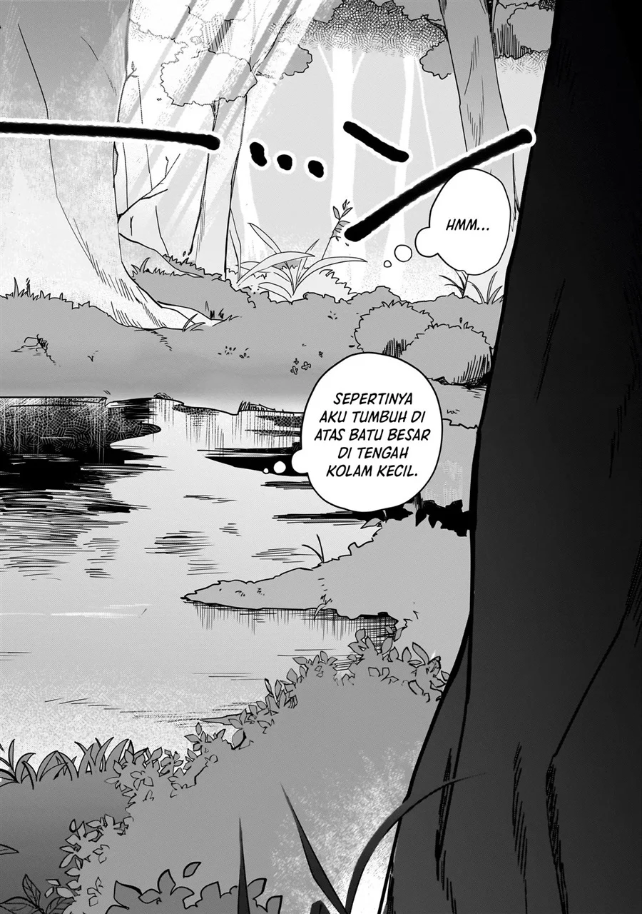 Chapter 1 - halaman 17