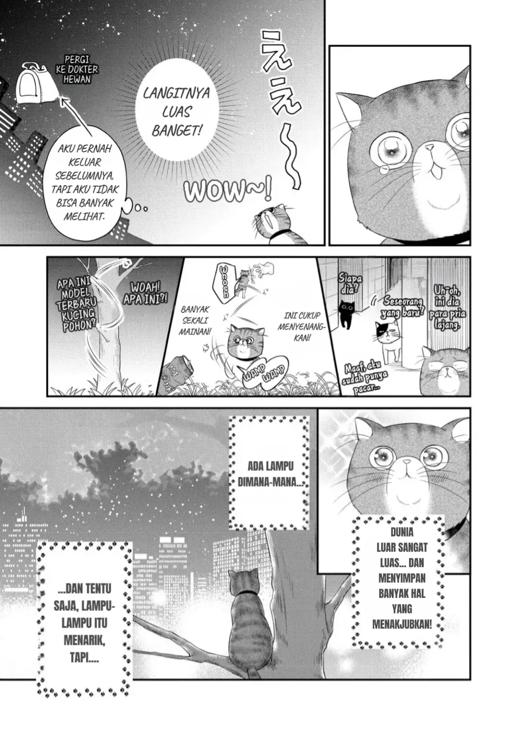 Chapter 24 - halaman 43