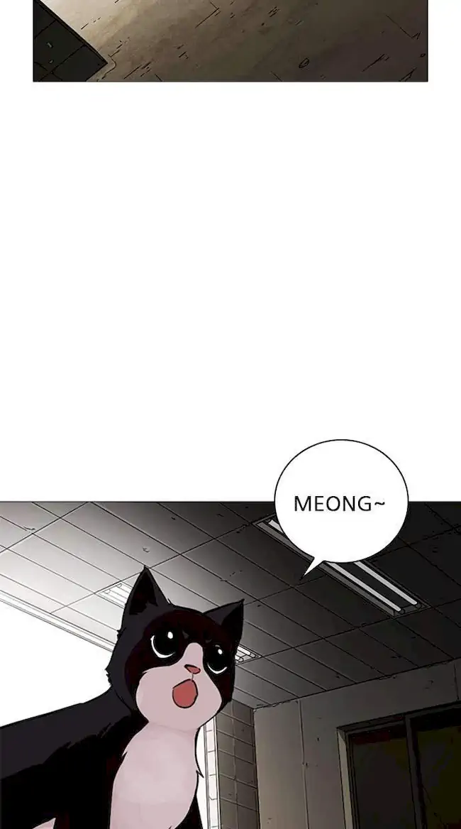 Chapter 245 - halaman 49