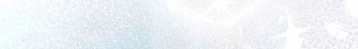 Chapter 97 - halaman 43