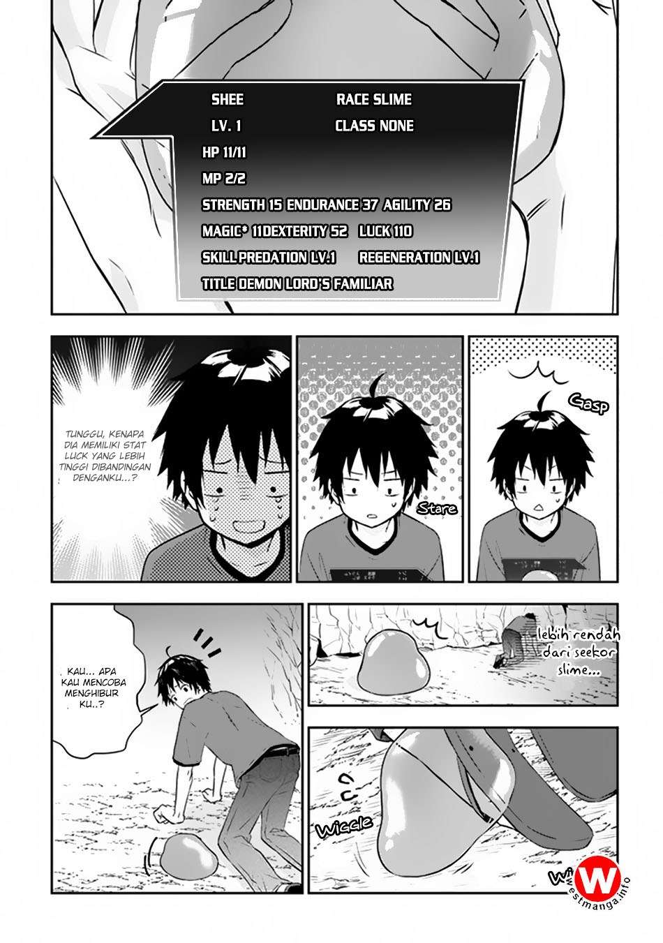 Chapter 2.1 - halaman 11