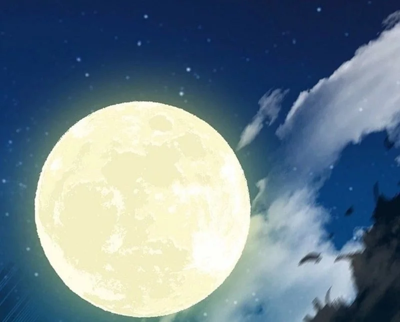 Chapter 222 - halaman 13