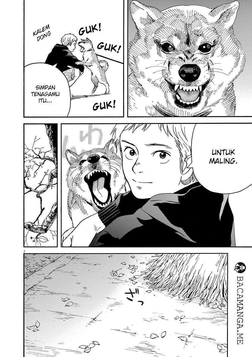 Chapter 13 - halaman 3