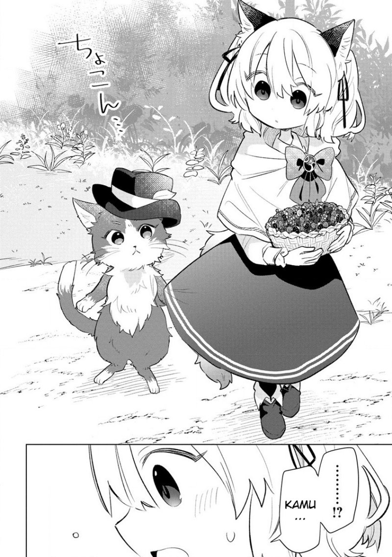 Chapter 3.1 - halaman 13