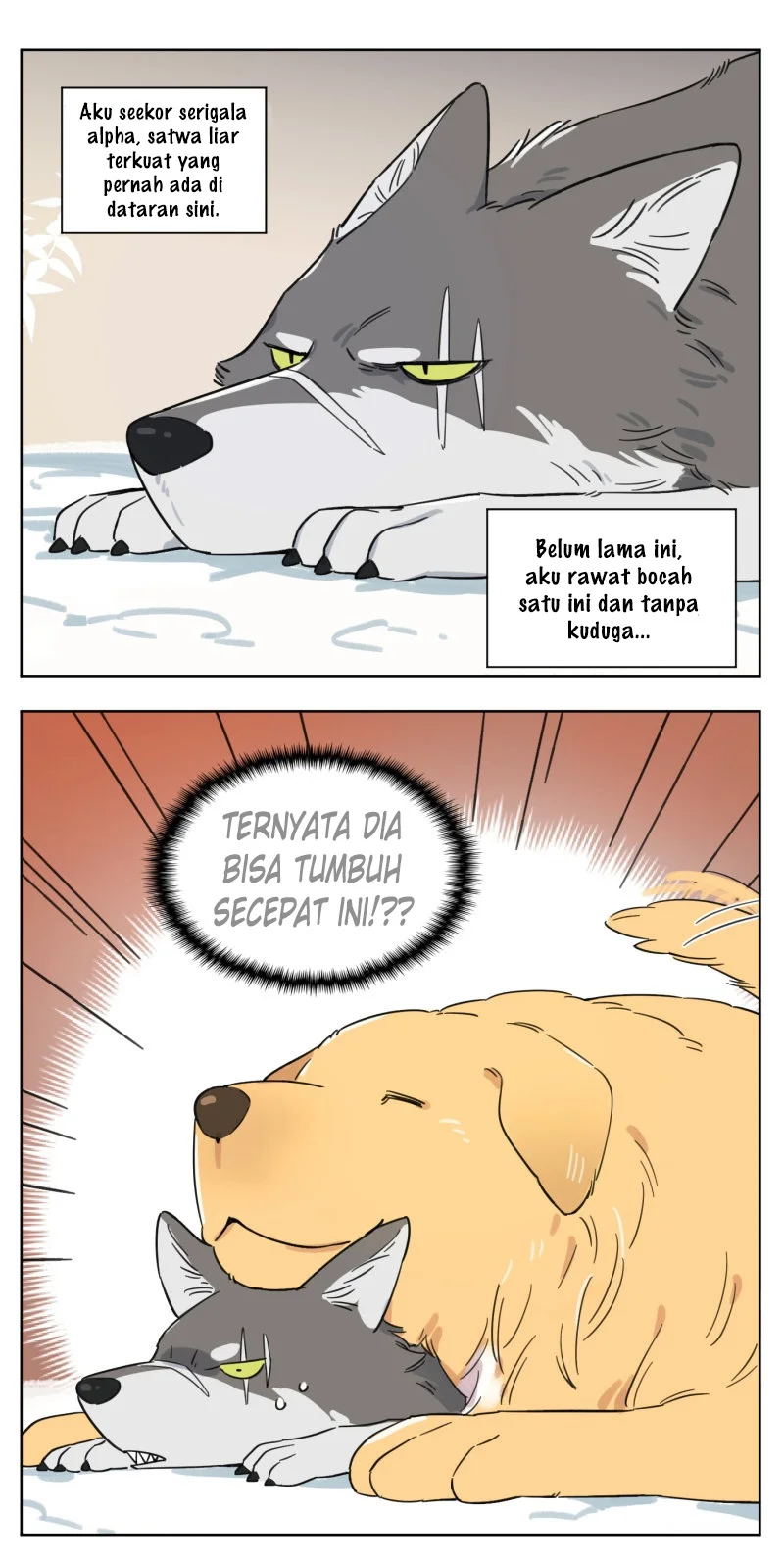 Chapter 2 - halaman 5