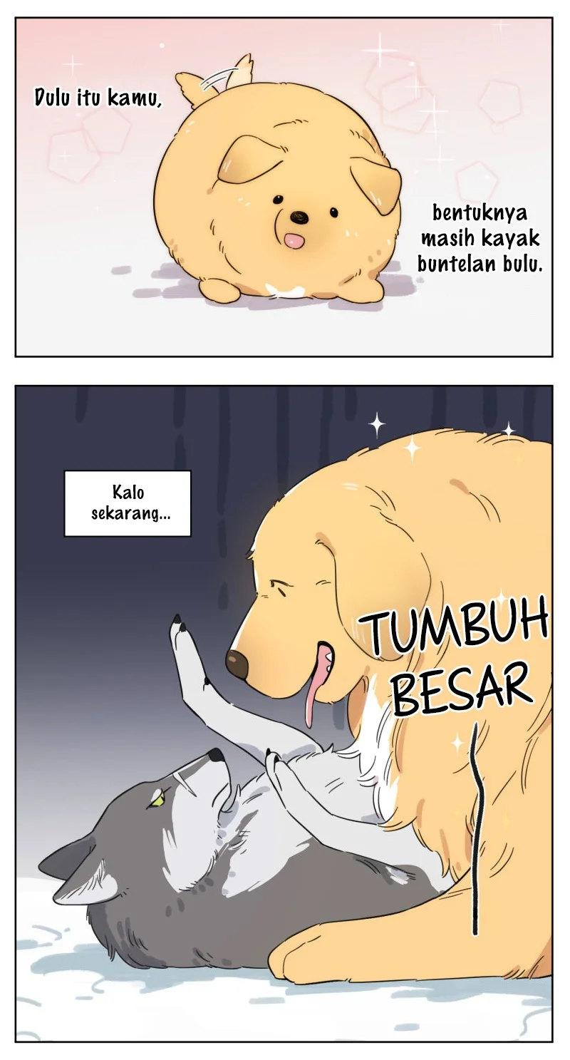 Chapter 2 - halaman 7