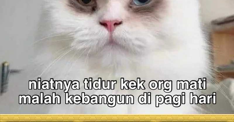 Chapter 126 - halaman 108