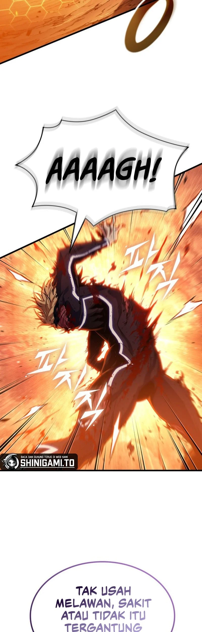 Chapter 195 - halaman 52