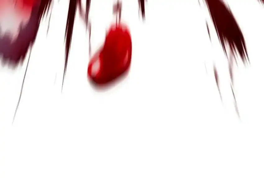 Chapter 66 - halaman 324