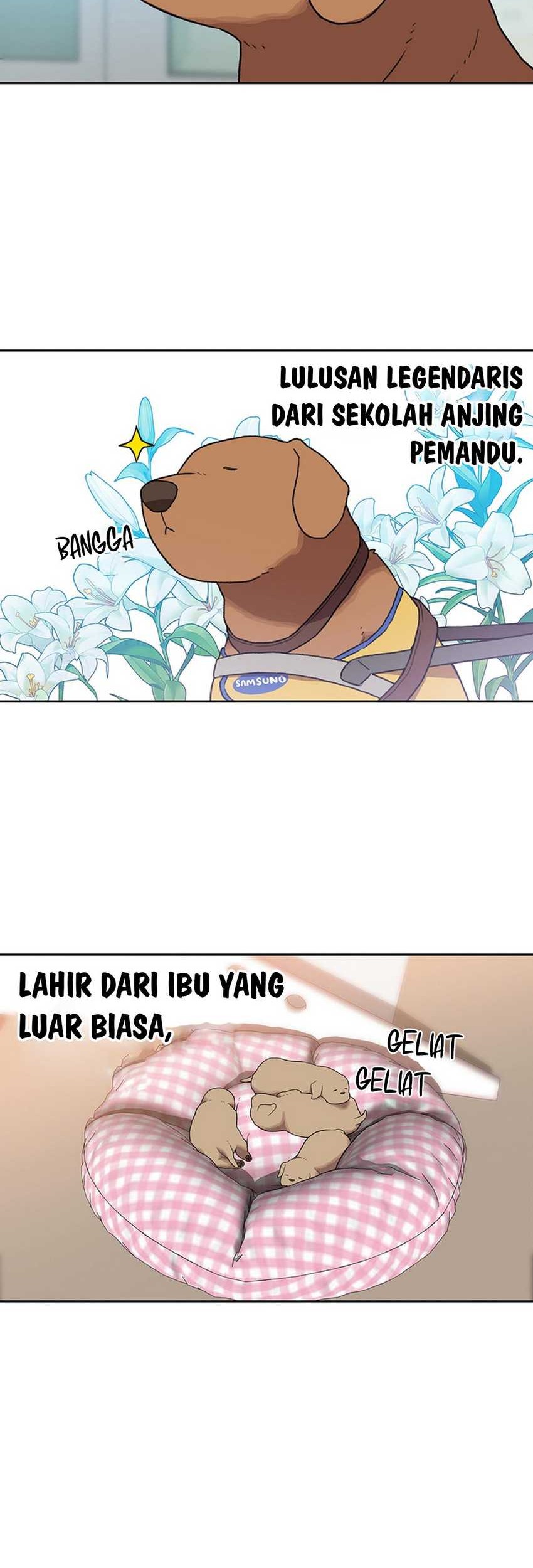 Chapter 104 - halaman 16