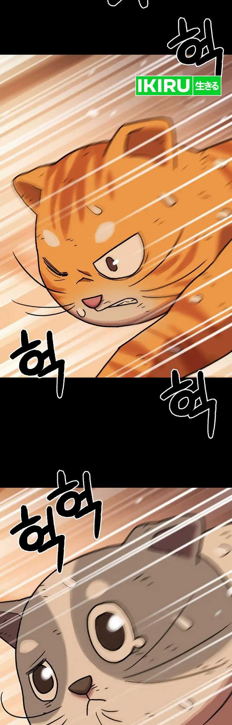 Chapter 137 - halaman 43
