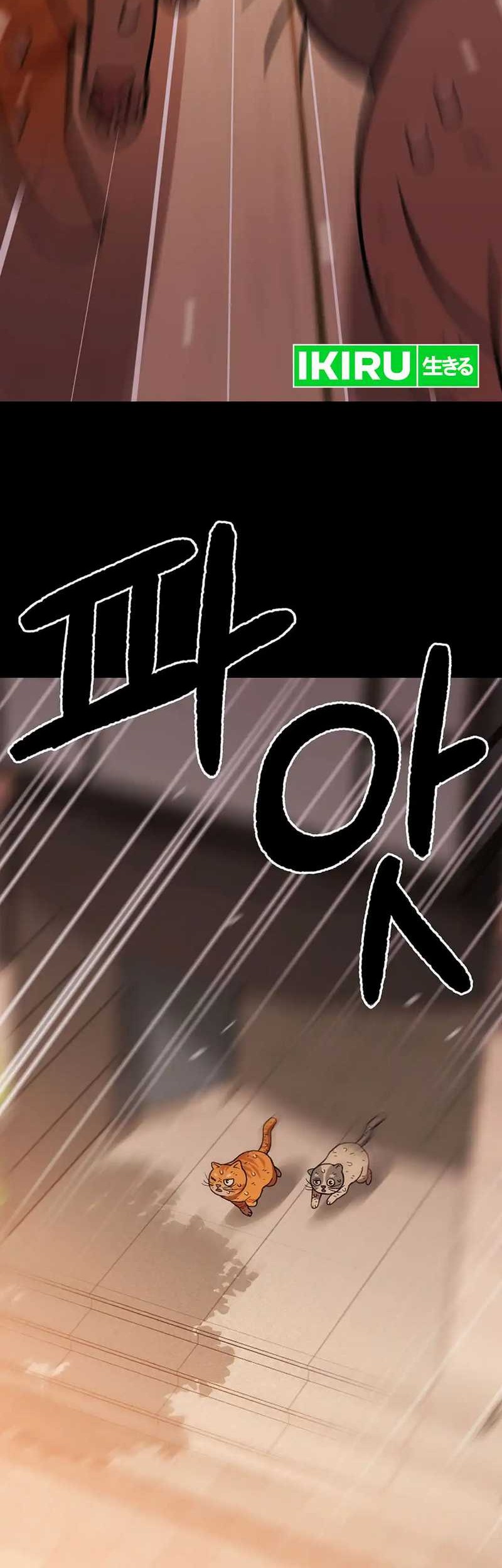 Chapter 137 - halaman 45