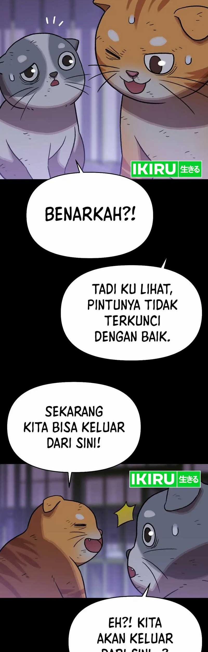 Chapter 137 - halaman 29