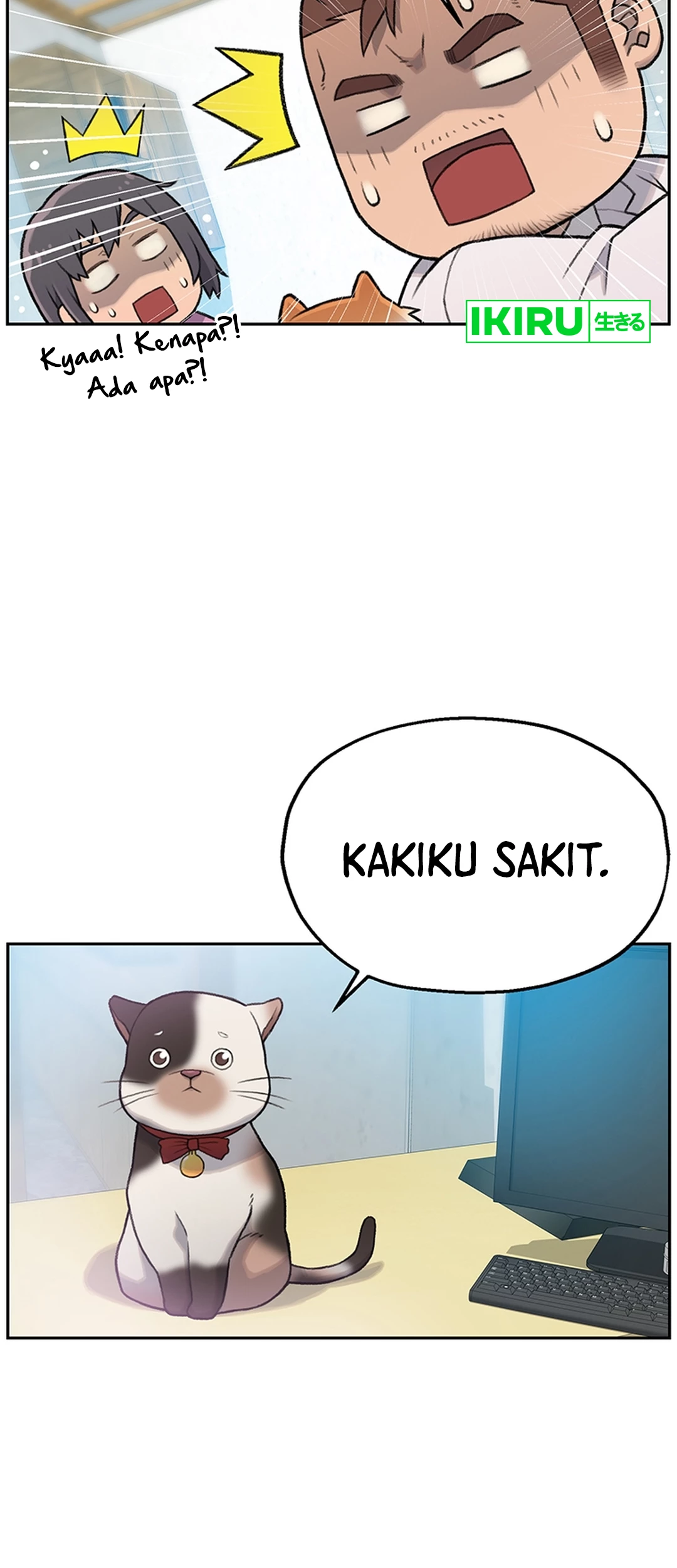 Chapter 2 - halaman 29
