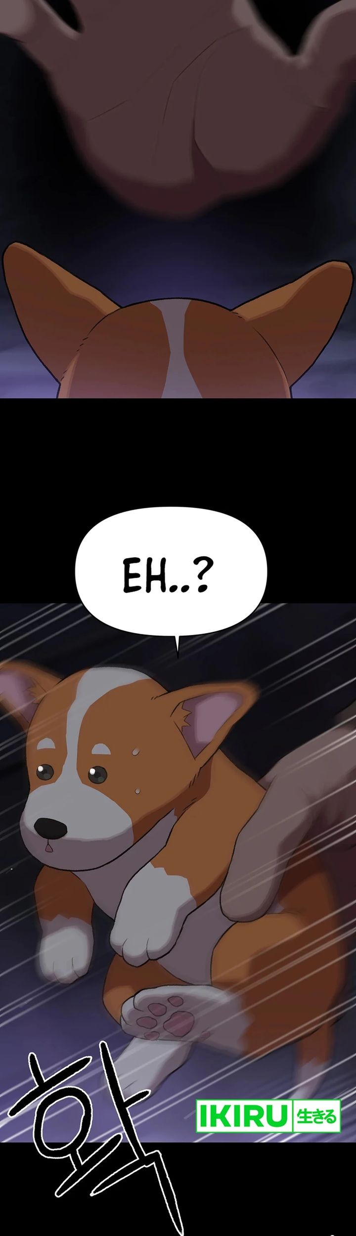 Chapter 46 - halaman 12