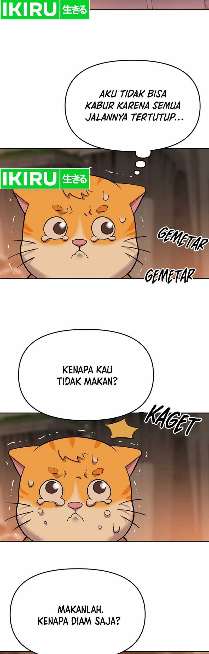 Chapter 52 - halaman 14