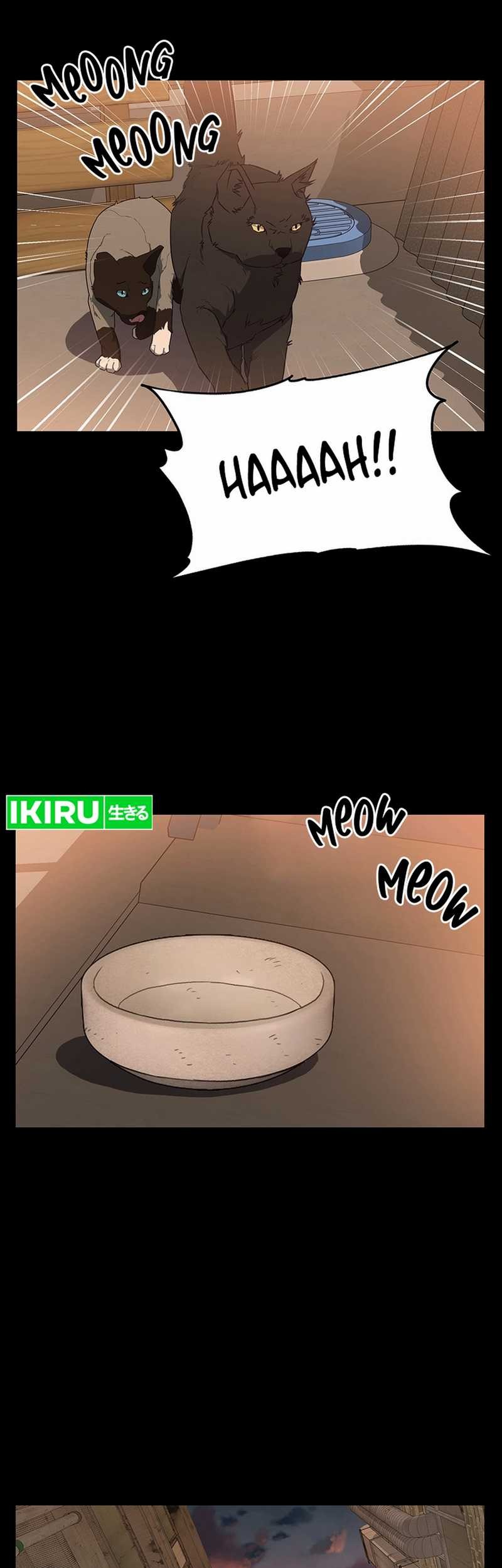 Chapter 53 - halaman 15