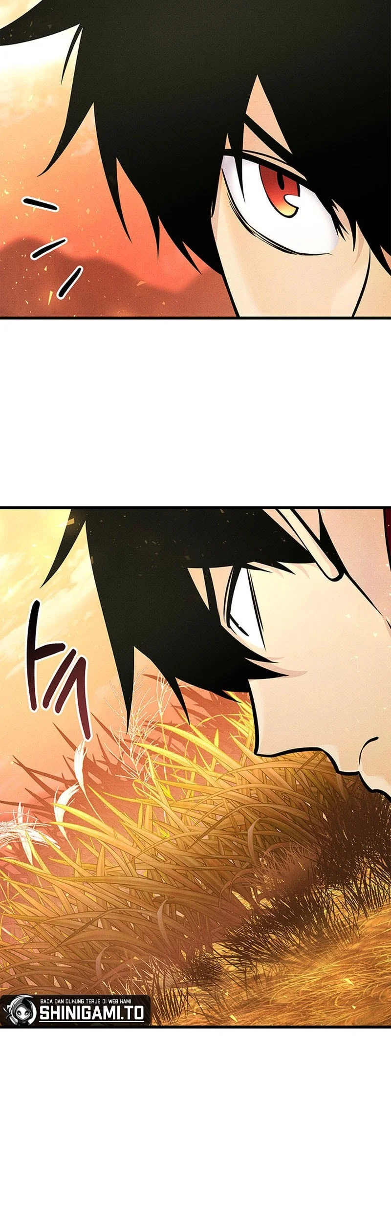 Chapter 252 - halaman 5