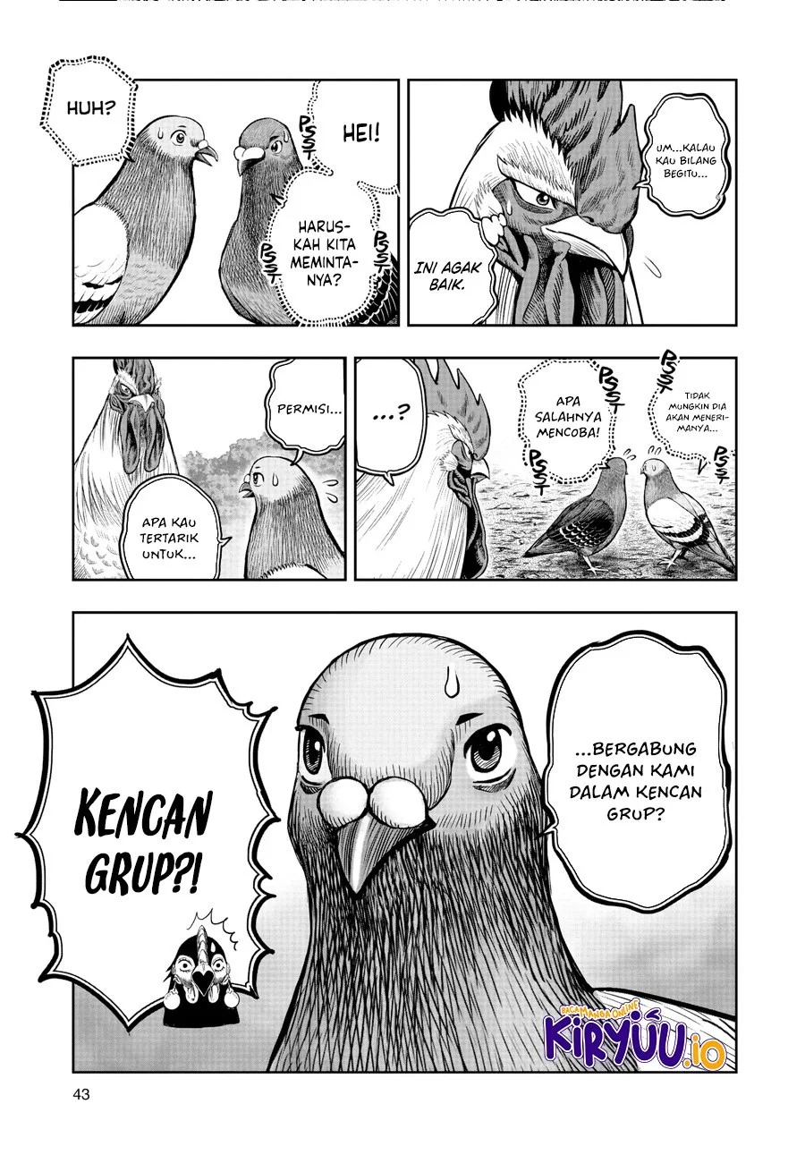 Chapter 17 - halaman 17