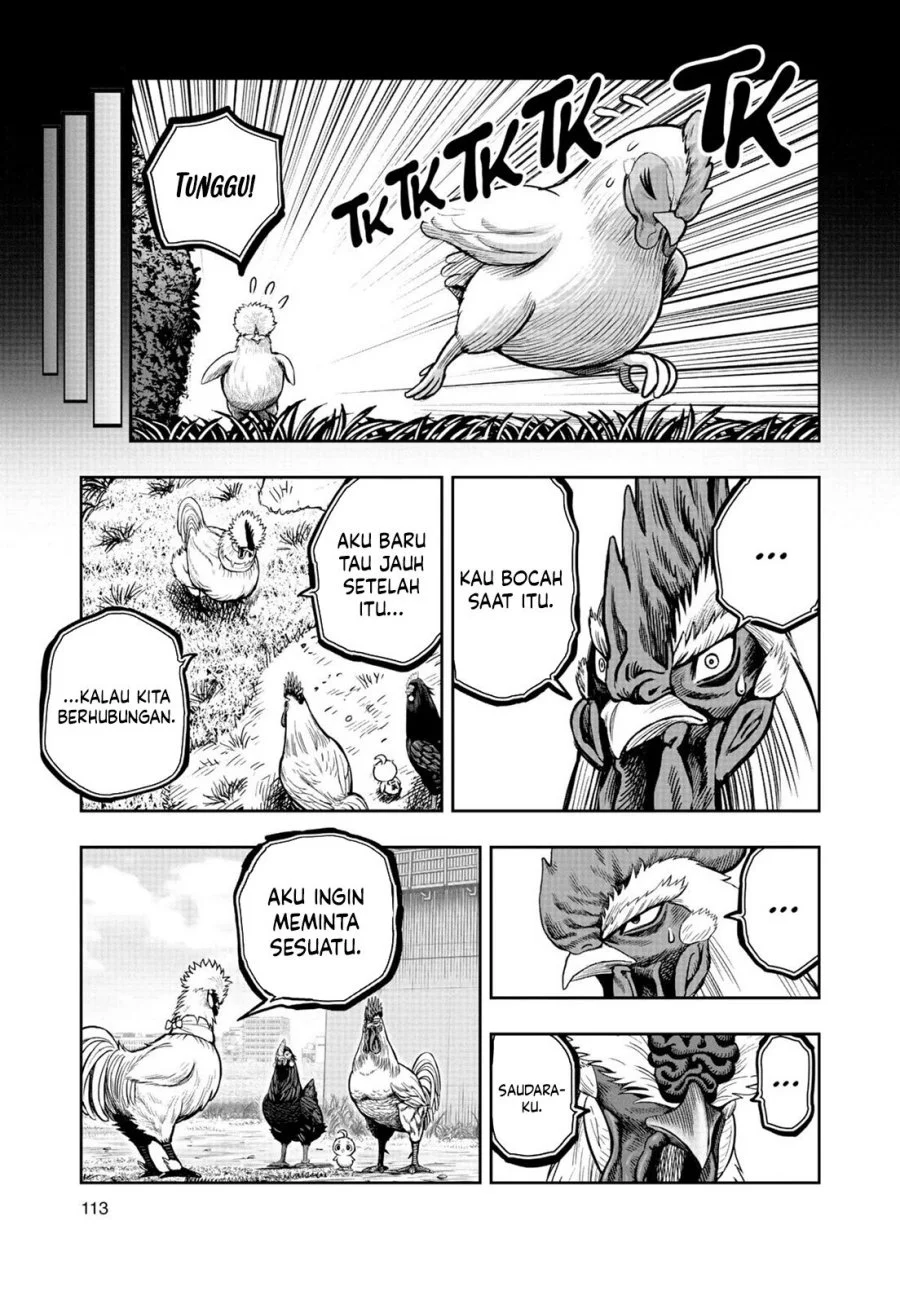 Chapter 19 - halaman 17