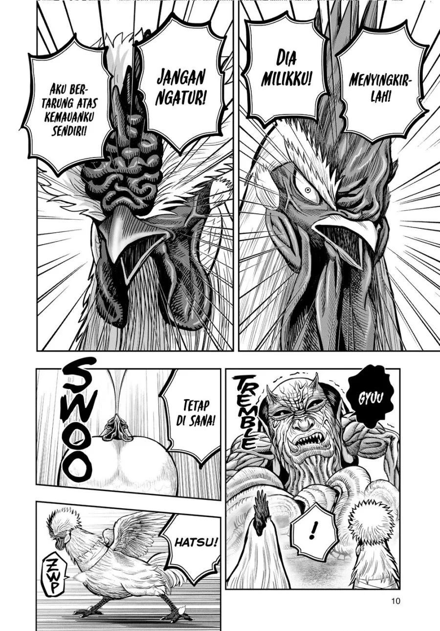 Chapter 21 - halaman 13