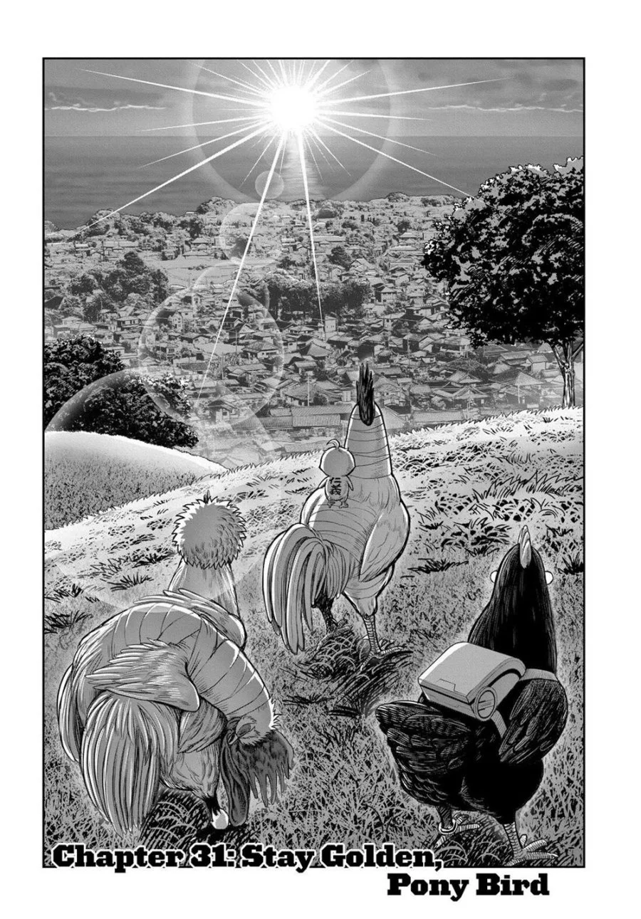 Chapter 31 - halaman 3
