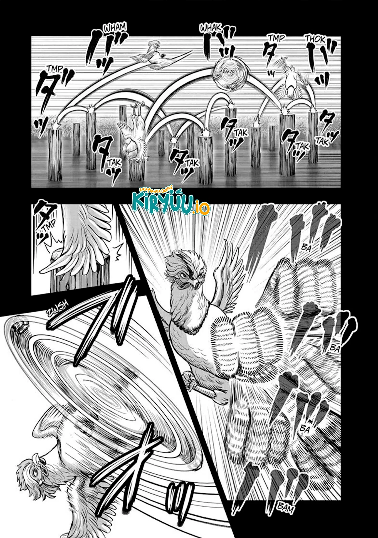 Chapter 51 - halaman 17