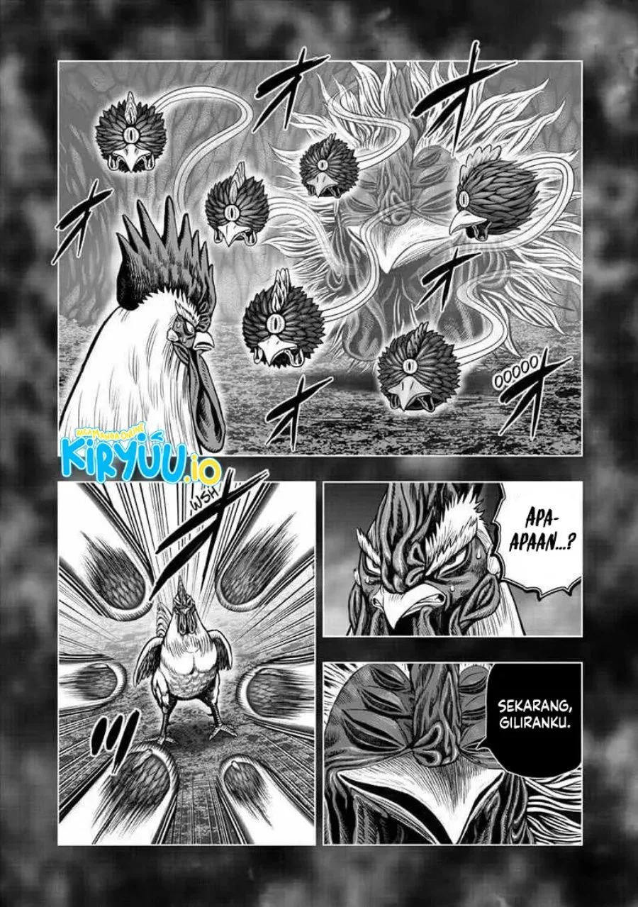 Chapter 56 - halaman 12